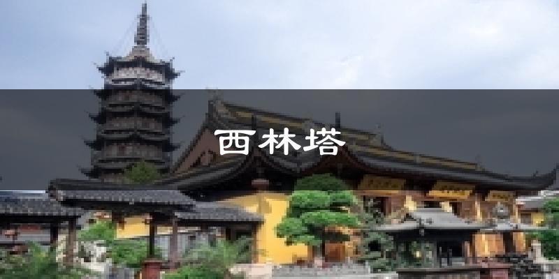 西林塔今日天气