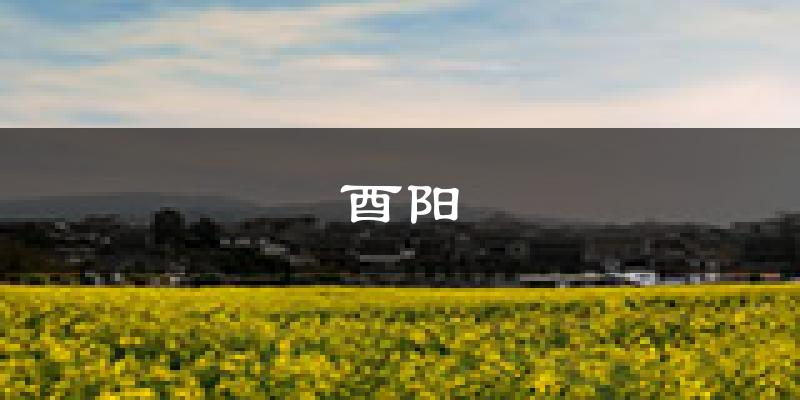 酉阳天气预报未来一周