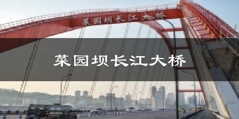 菜园坝长江大桥气温