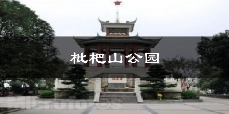 枇杷山公园气温