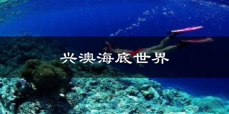 兴澳海底世界气温