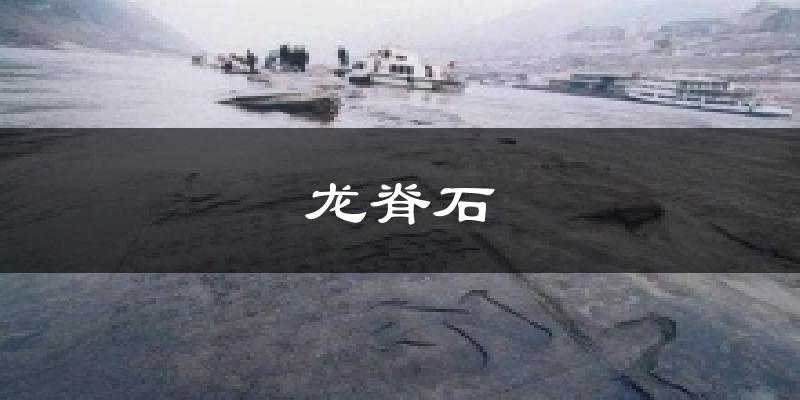 龙脊石今日天气