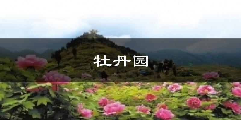 牡丹园今日天气