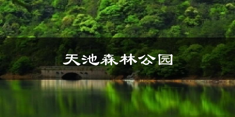 天池森林公园气温