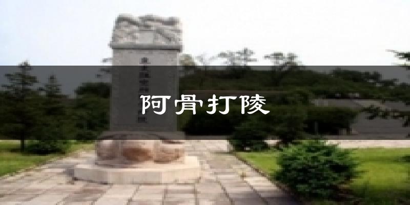 阿骨打陵天气未来15天