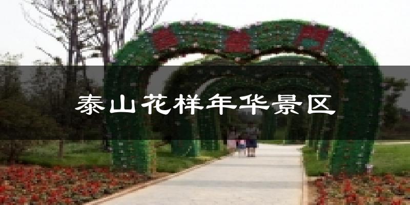 泰山花样年华景区气温
