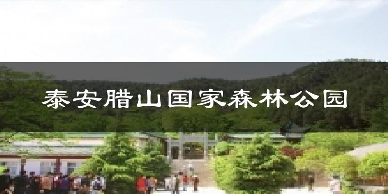 泰安腊山国家森林公园气温
