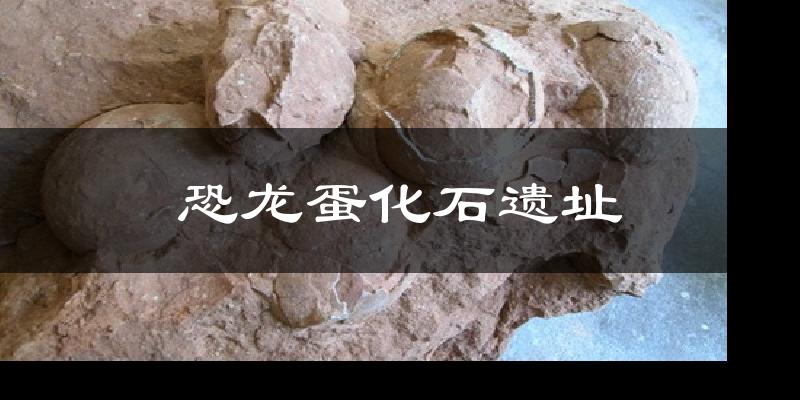 恐龙蛋化石遗址今日天气