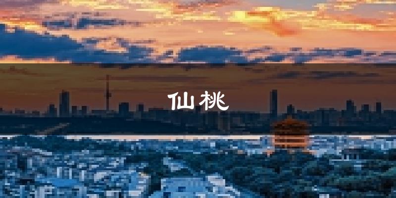 仙桃天气预报未来一周