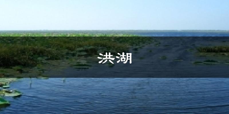 洪湖天气未来15天
