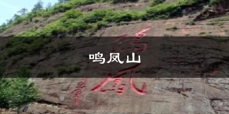 鸣凤山天气未来15天