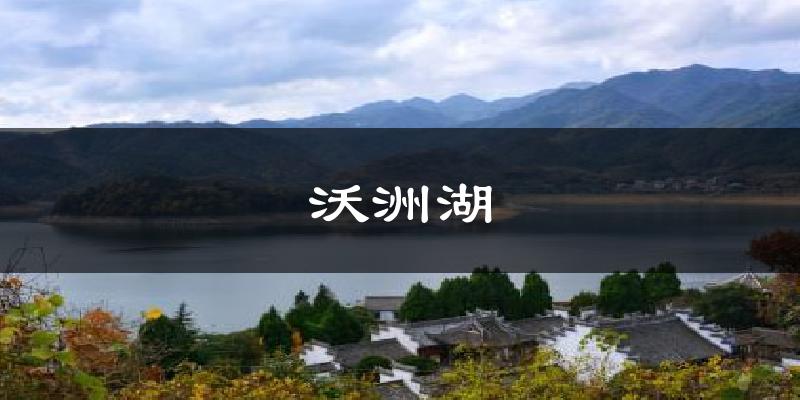 沃洲湖气温