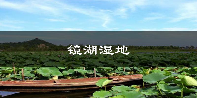 镜湖湿地气温