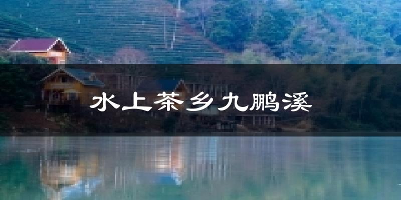 水上茶乡九鹏溪天气未来15天