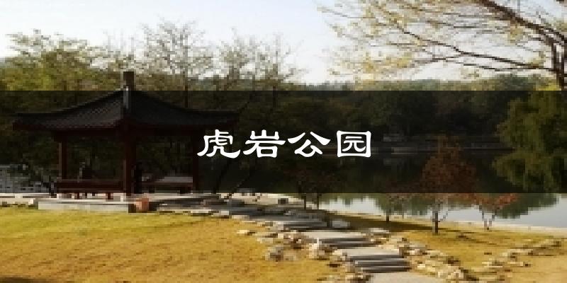 虎岩公园今日天气