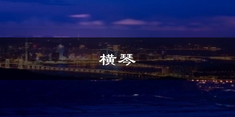 横琴天气未来15天