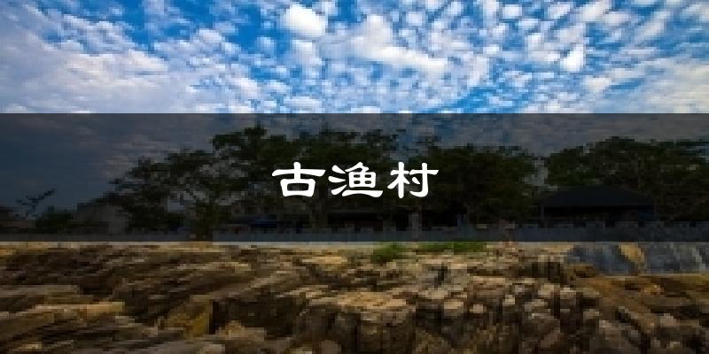 古渔村今日天气