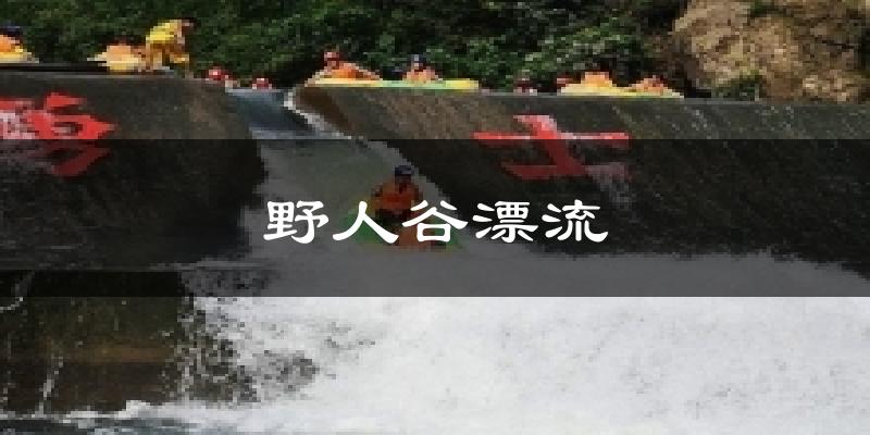 野人谷漂流气温